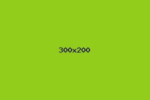 placeholder