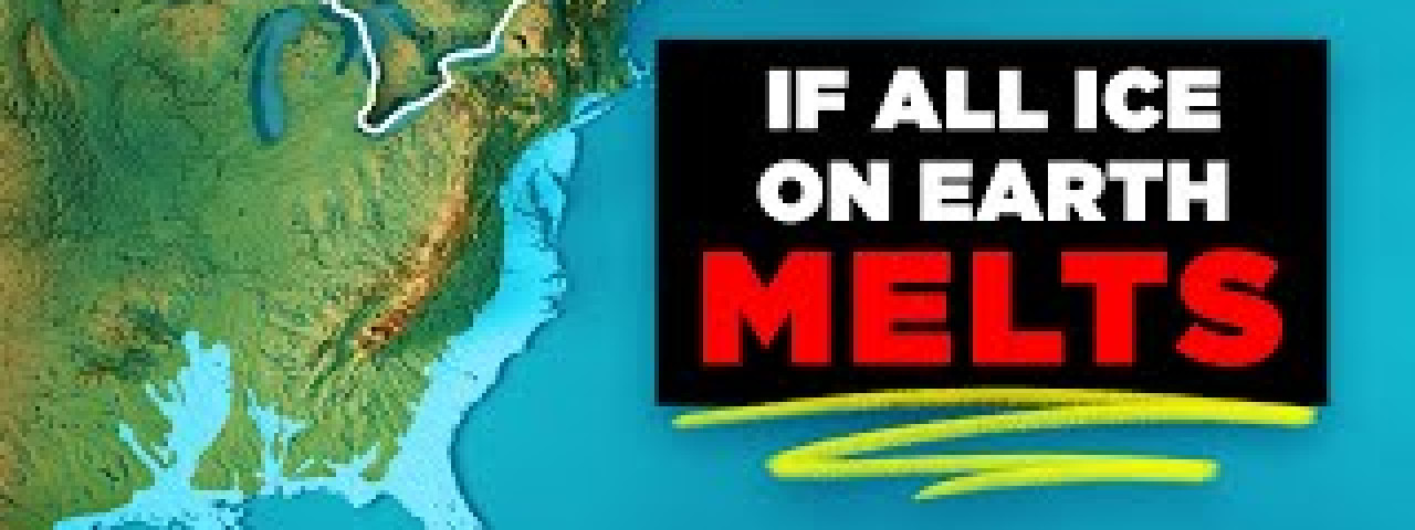 mqdefault.jpeg