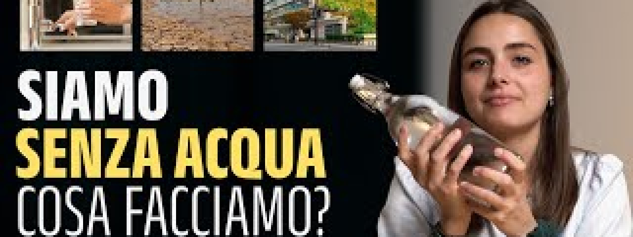 mqdefault.jpeg